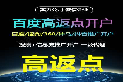 企业SEM服务实战案例解析